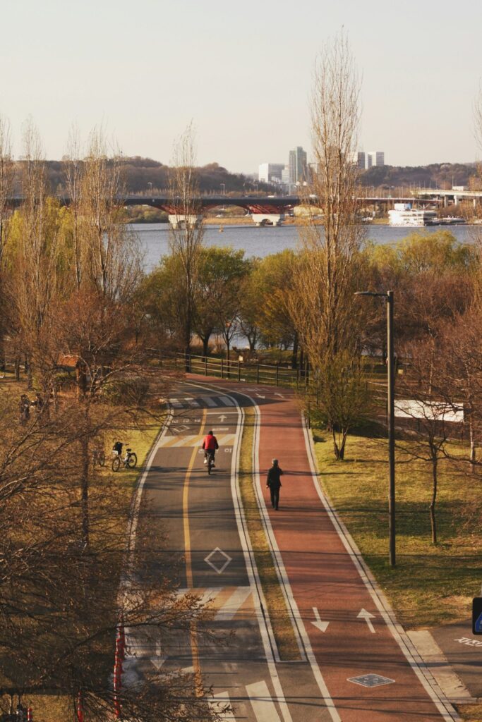 People cycling and walking on a park path near river