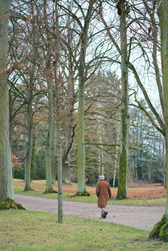Elderly person walks down a park path in autumn