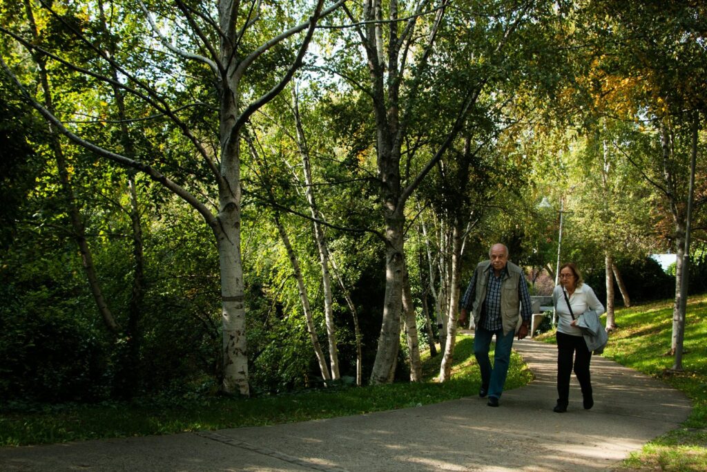 Two adults walking along a paved path through a grove of birch trees