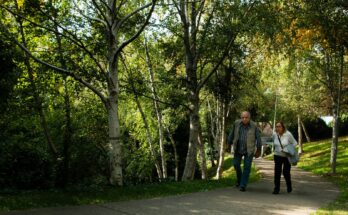 Two adults walking along a paved path through a grove of birch trees