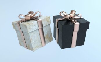 Two gift boxes with decorative bows
