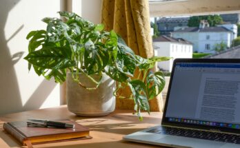 macbook pro beside green plant on table